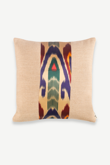 Modern and Farmhouse Mix Cushion with Ikat Pattern