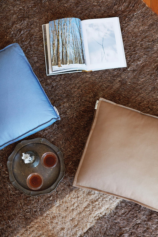 Blue and Brown Cushion Cover